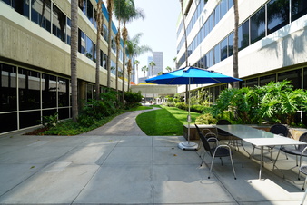 Enlarge photo 53