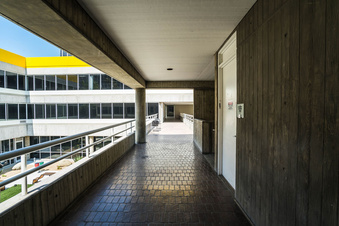 Enlarge photo 57