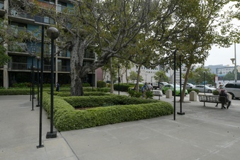 Enlarge photo 17