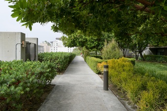 Enlarge photo 36