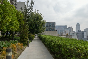 Enlarge photo 37