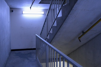 Enlarge photo 78