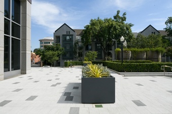 Enlarge photo 37