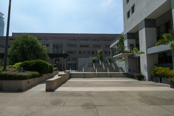 Enlarge photo 43
