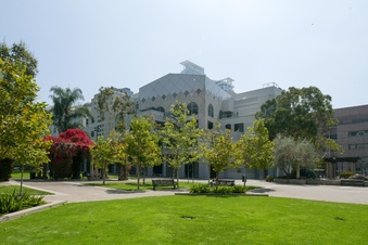 Enlarge photo 54