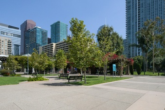 Enlarge photo 56
