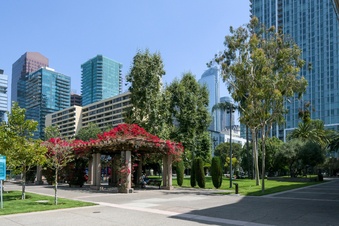 Enlarge photo 58