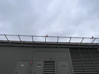 Enlarge photo 15