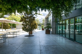 Enlarge photo 38