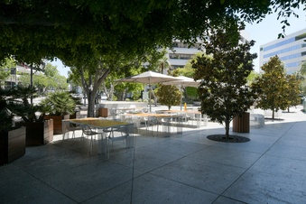 Enlarge photo 39