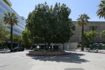 Enlarge photo 66