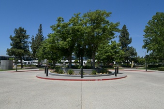Enlarge photo 39