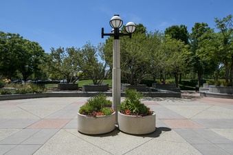 Enlarge photo 46