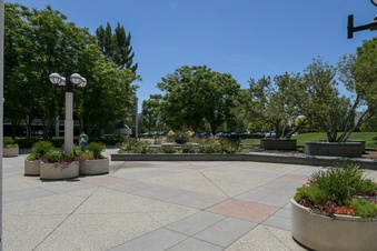 Enlarge photo 47