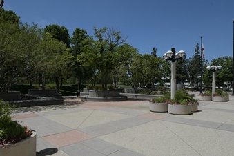 Enlarge photo 48