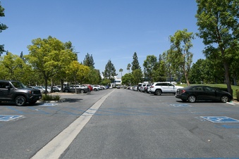 Enlarge photo 54