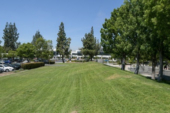 Enlarge photo 57