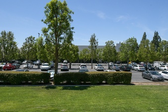 Enlarge photo 59