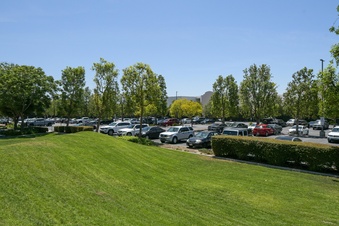 Enlarge photo 60