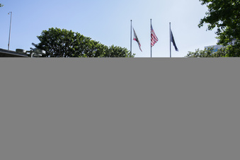 Enlarge photo 68