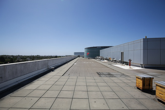 Enlarge photo 15