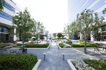 Enlarge photo 162