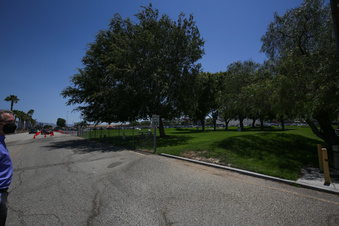 Enlarge photo 16