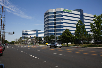 The Enclave