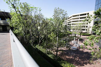 Enlarge photo 20