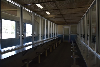 Enlarge photo 13