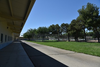 Enlarge photo 161