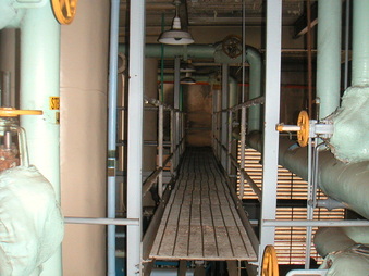 Enlarge photo 81