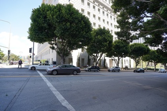 Enlarge photo 37