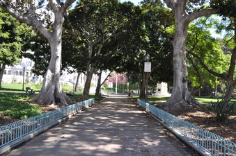 Enlarge photo 111