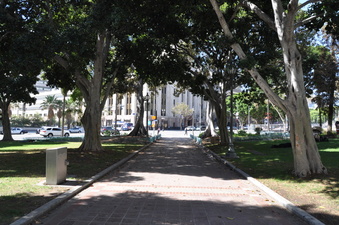 Enlarge photo 113