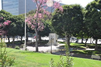 Enlarge photo 116