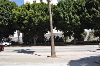 Enlarge photo 127