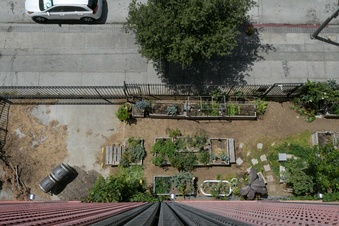 Enlarge photo 7