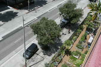 Enlarge photo 8