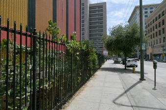 Enlarge photo 30