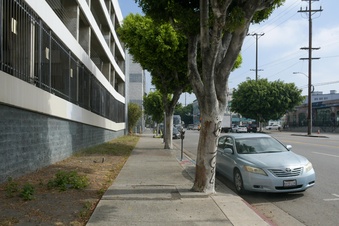 Enlarge photo 30