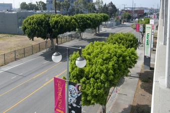 Enlarge photo 11
