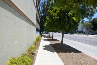 Enlarge photo 30