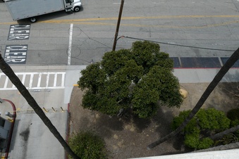 Enlarge photo 36