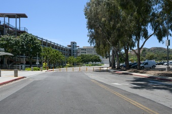 Enlarge photo 37