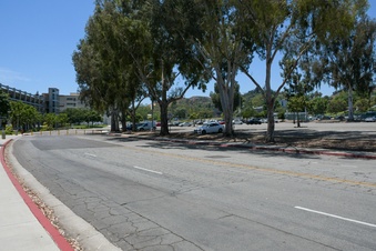 Enlarge photo 42