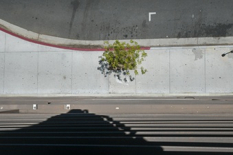 Enlarge photo 19