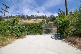 Enlarge photo 53
