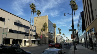 Enlarge photo 35