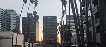 Enlarge photo 30